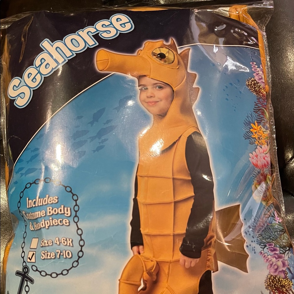 Rasta Imposta 3-4 Seahorse